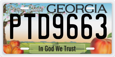 GA license plate PTD9663