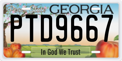 GA license plate PTD9667