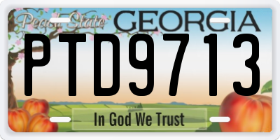 GA license plate PTD9713
