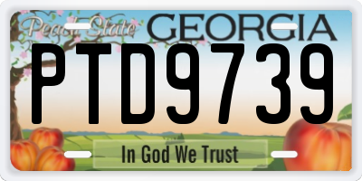 GA license plate PTD9739