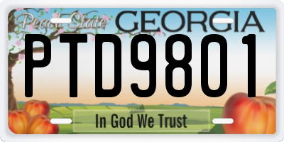 GA license plate PTD9801