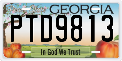 GA license plate PTD9813