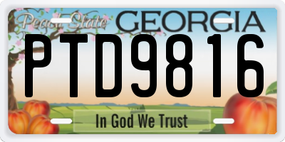 GA license plate PTD9816