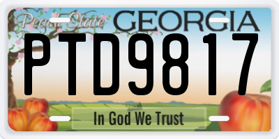 GA license plate PTD9817