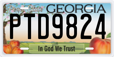 GA license plate PTD9824