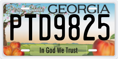 GA license plate PTD9825