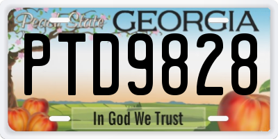 GA license plate PTD9828