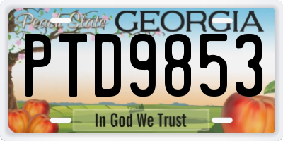 GA license plate PTD9853