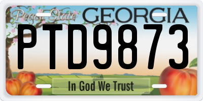 GA license plate PTD9873