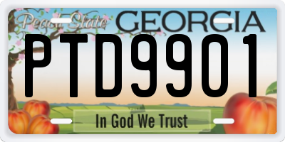 GA license plate PTD9901
