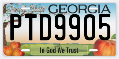 GA license plate PTD9905