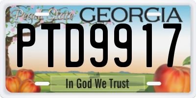 GA license plate PTD9917