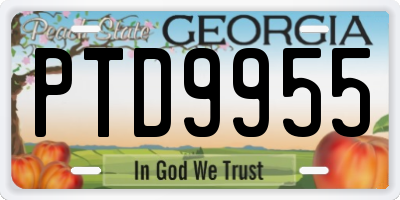 GA license plate PTD9955