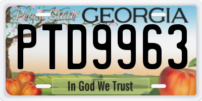 GA license plate PTD9963