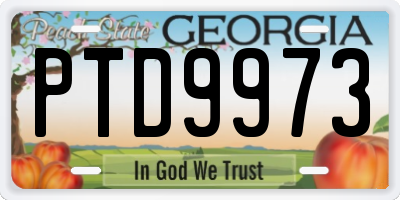 GA license plate PTD9973