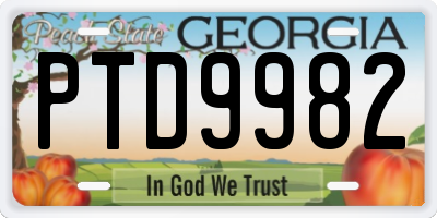 GA license plate PTD9982