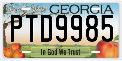 GA license plate PTD9985