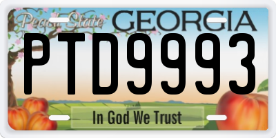 GA license plate PTD9993