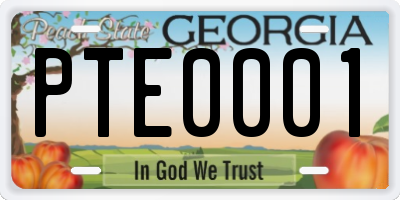 GA license plate PTE0001