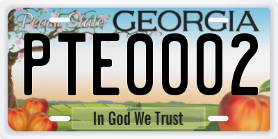 GA license plate PTE0002