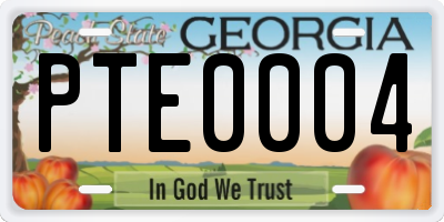 GA license plate PTE0004