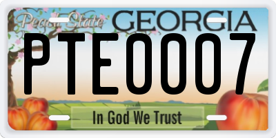 GA license plate PTE0007