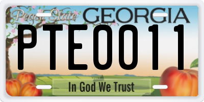 GA license plate PTE0011