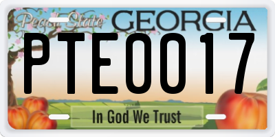 GA license plate PTE0017