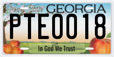GA license plate PTE0018