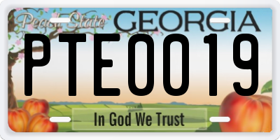 GA license plate PTE0019
