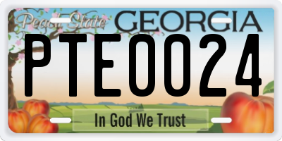 GA license plate PTE0024