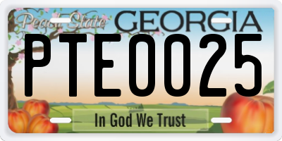GA license plate PTE0025