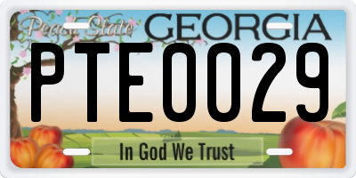 GA license plate PTE0029