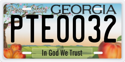 GA license plate PTE0032