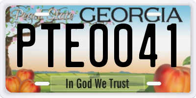 GA license plate PTE0041