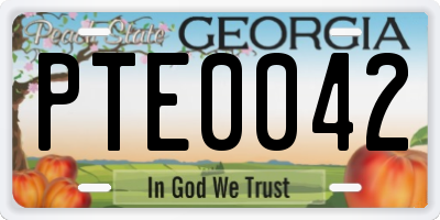 GA license plate PTE0042