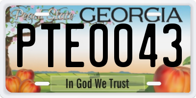 GA license plate PTE0043