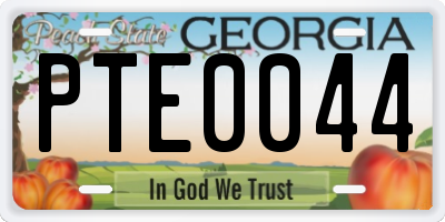 GA license plate PTE0044