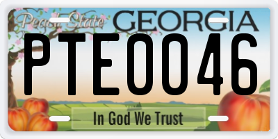 GA license plate PTE0046