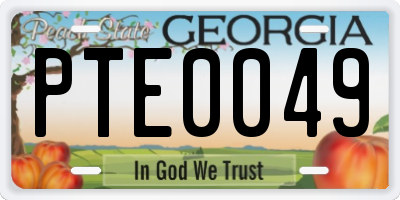 GA license plate PTE0049