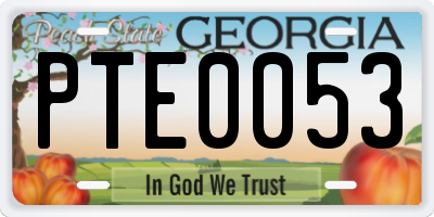 GA license plate PTE0053