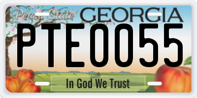 GA license plate PTE0055