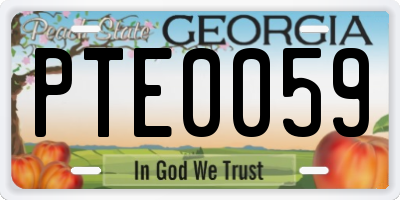 GA license plate PTE0059