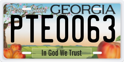 GA license plate PTE0063