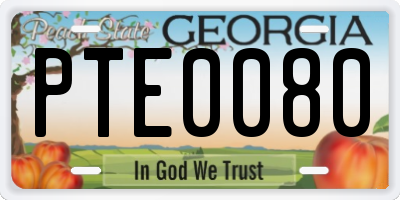 GA license plate PTE0080