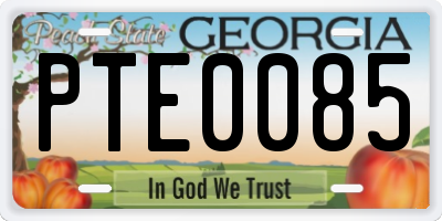 GA license plate PTE0085