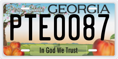 GA license plate PTE0087