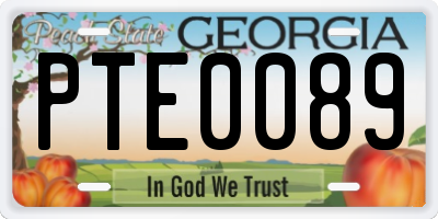 GA license plate PTE0089