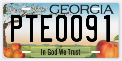 GA license plate PTE0091