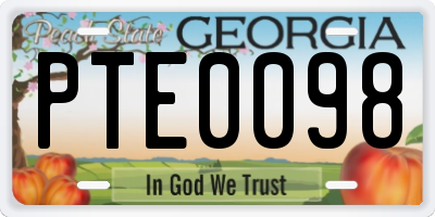 GA license plate PTE0098